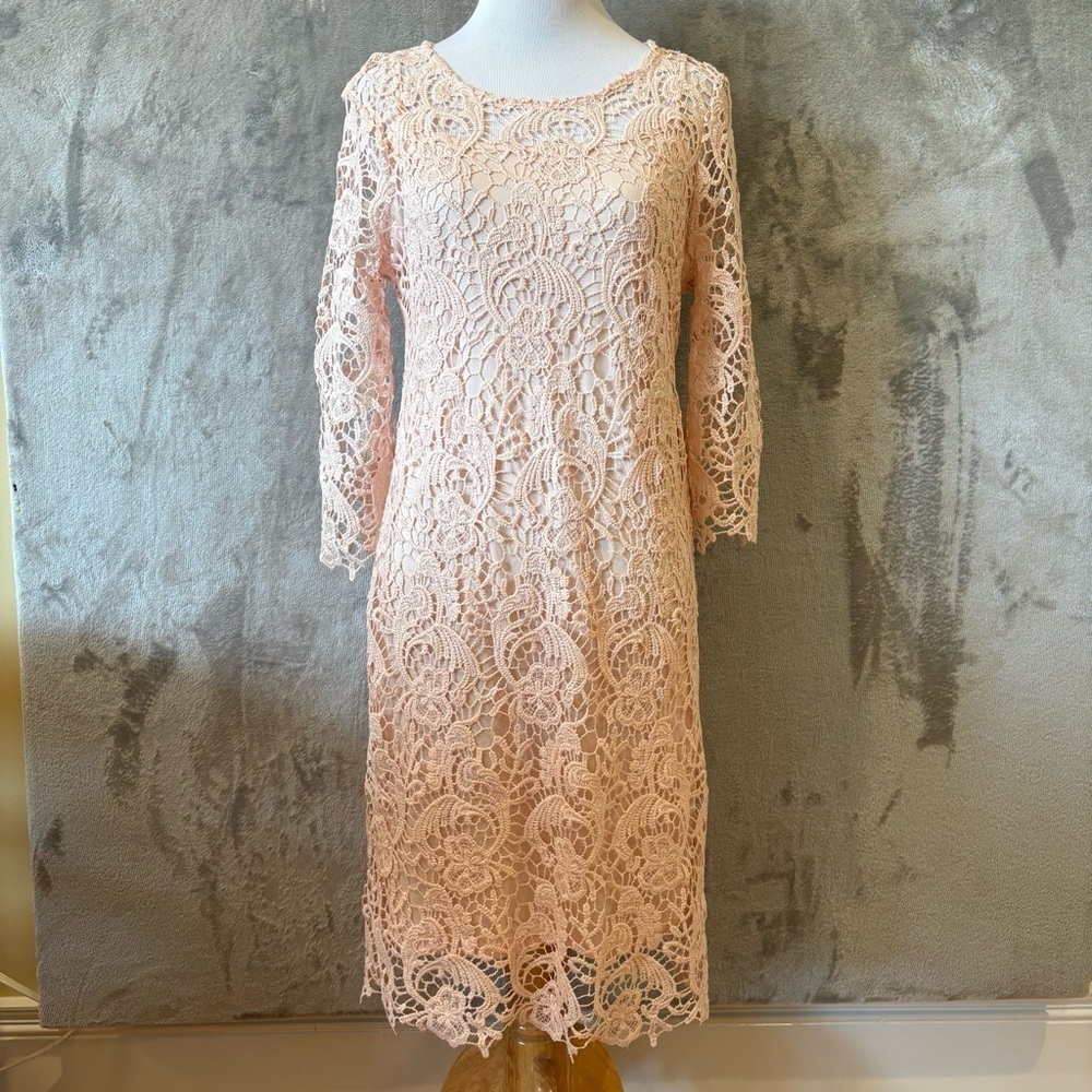 Romantic Rosette Coquette Lace Embroidered Elegant Pink Dress Sz 8